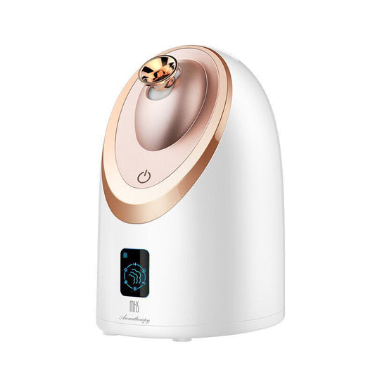 Facial Steamer Nano Spray Moisturizing Instrument Hot Spray Humidifier Steam Household